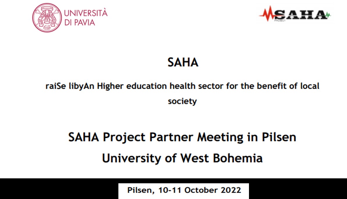 Partners Meeting of Saha project